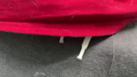 diag033014 online show from 02.11.26