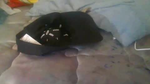 Snapshot of diamondeye112 chatting on 12.23.25 diamondeye112 online show from 12.23.25