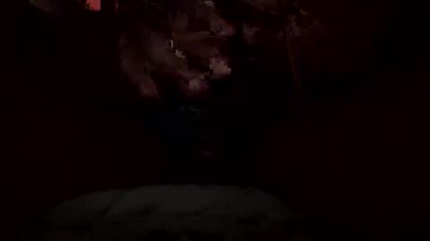 Snapshot of dickdynamics chatting on 01.13.26 dickdynamics online show from 01.13.26