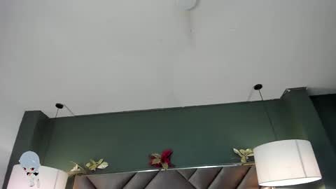 Snapshot of dickie_dicking chatting on 11.29.25 dickie_dicking online show from 11.29.25