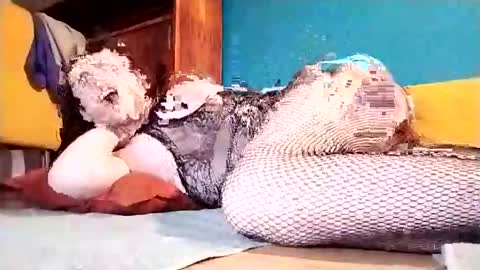 Dicky online show from 03.01.25