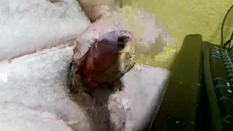 Snapshot of didyoujustseethat chatting on 10.07.25 didyoujustseethat online show from 10.07.25