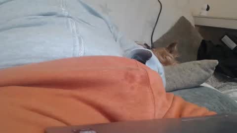 DiegoVLC online show from 03.20.26