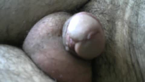 Bob online show from 01.11.25