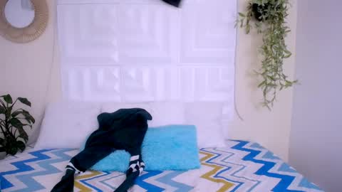 DINA online show from 04.23.26
