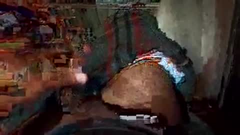 dyno online show from 11.22.25