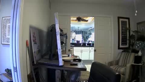 Snapshot of dirkpitt223 chatting on 01.03.25 DirtkPitt Fun guy working online show from 01.03.25