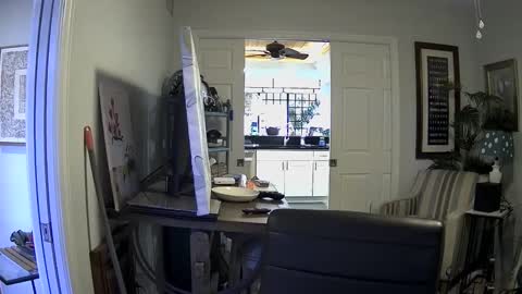 Snapshot of dirkpitt223 chatting on 01.03.25 DirtkPitt Fun guy working online show from 01.03.25