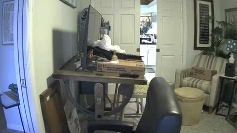 Snapshot of dirkpitt223 chatting on 01.21.25 DirtkPitt Fun guy working online show from 01.21.25