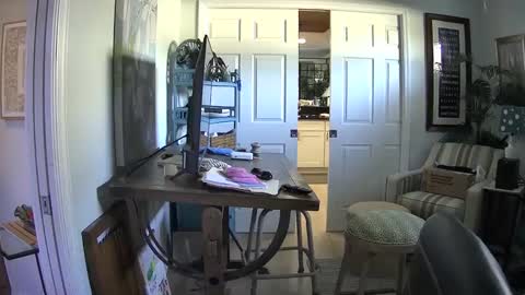 Snapshot of dirkpitt223 chatting on 02.01.25 DirtkPitt Fun guy working online show from 02.01.25