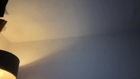 Snapshot of dirtybastard81 chatting on 11.25.25 Jan online show from 11.25.25