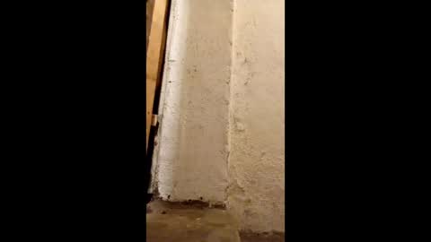 dirtytravbitch online show from 05.06.26