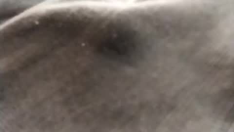 Snapshot of dlov3 chatting on 02.08.26 dlov3 online show from 02.08.26