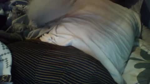 Snapshot of dockomodo77 chatting on 12.03.25 Alex online show from 12.03.25