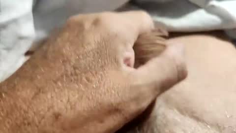 dockydick online show from 10.14.25