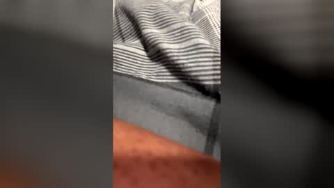 Snapshot of dogladi chatting on 02.07.26 Dogladi online show from 02.07.26