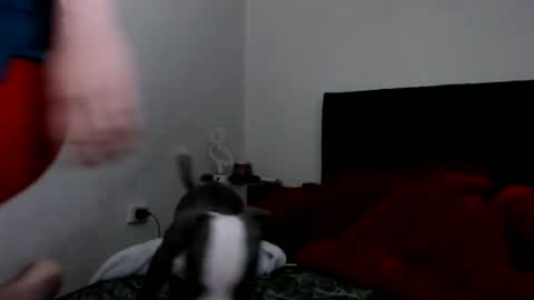 Snapshot of doll_sary chatting on 02.08.25 Catherine XXX online show from 02.08.25