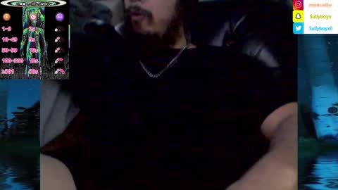 Snapshot of domanarchist chatting on 02.04.25 Sullyboyx online show from 02.04.25