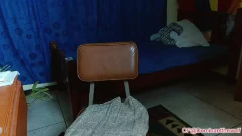 Logan - INDEPENDET MODEL online show from 05.11.26