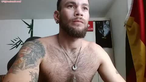 Logan - INDEPENDET MODEL online show from 05.11.26