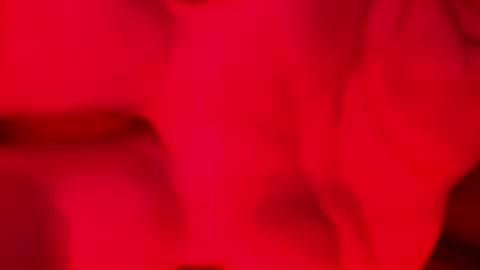 Snapshot of domingodelluvia chatting on 11.17.25 Alzest online show from 11.17.25