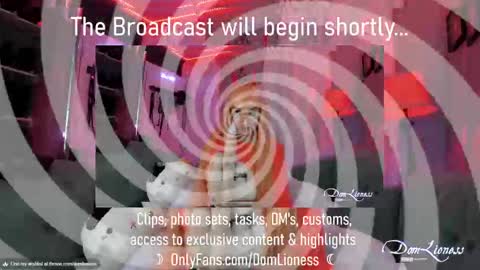 DomLioness online show from 10.31.25