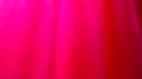 DommeTomorrow online show from 02.25.25