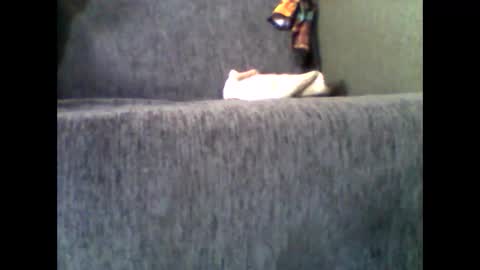 Snapshot of donizetti2017 chatting on 11.10.25 Alfredo online show from 11.10.25