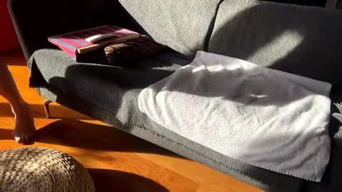 Snapshot of donizetti2017 chatting on 12.02.25 Alfredo online show from 12.02.25