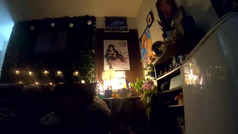 Snapshot of donkellz chatting on 10.02.25 Sapphire Fox online show from 10.02.25