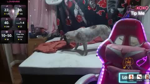 Angelic Angel Donny online show from 12.21.25