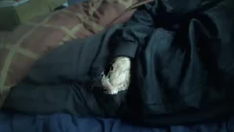 Hello  welcome to Slutsville  I am the Naked Chef  really  but you may call me Peter online show from 01.12.26