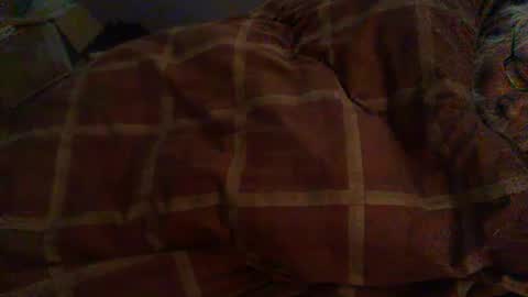 Hello  welcome to Slutsville  I am the Naked Chef  really  but you may call me Peter online show from 02.12.26