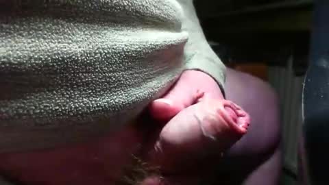 Snapshot of doscard chatting on 12.14.24 doscard online show from 12.14.24