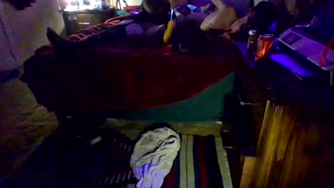 Snapshot of dowhatuwantwithme100 chatting on 02.09.26 Driver Dick Kylie Tits online show from 02.09.26