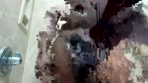 MrPirated online show from 01.18.26