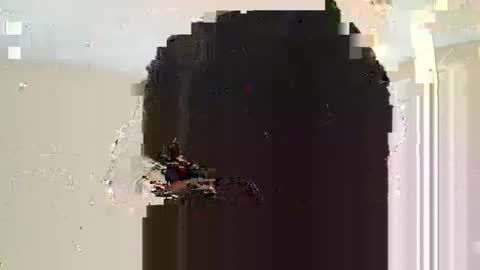 Snapshot of dreadstarr chatting on 03.10.25 Dread online show from 03.10.25