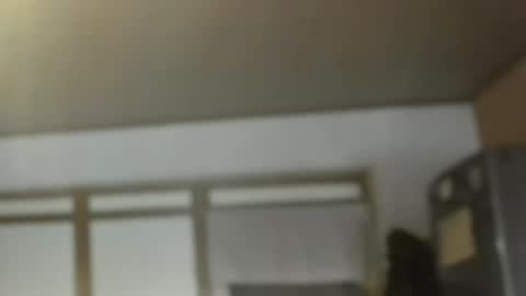 Snapshot of dreambob chatting on 11.01.25 Dreambob online show from 11.01.25