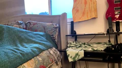 Snapshot of driving_perfectly chatting on 03.04.26 driving_perfectly online show from 03.04.26