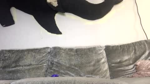 Snapshot of drobbb656 chatting on 02.08.26 2xTheTrouble online show from 02.08.26