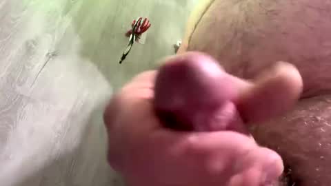 Snapshot of droppingloads82 chatting on 12.30.24 droppingloads82 online show from 12.30.24