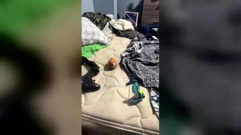 sissyginger online show from 04.03.26