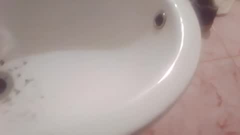 dthedog12 online show from 02.08.26