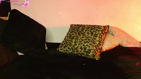   online show from 02.12.26