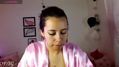 Snapshot of dulcemaria_alvarez22 chatting on 02.13.26 Dulce online show from 02.13.26