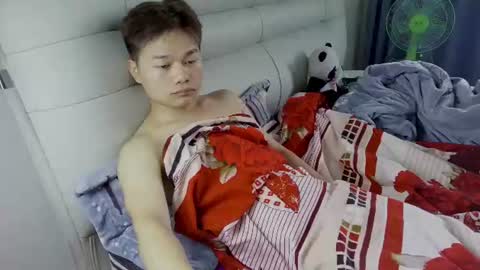 dumeila online show from 06.11.26