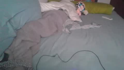 dv3nd3 online show from 01.07.26