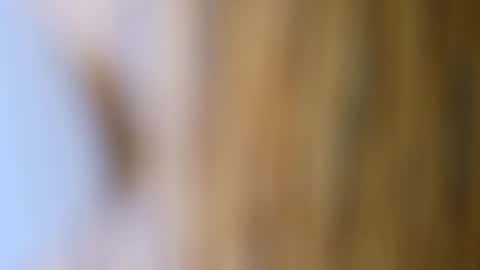 dVe1oPe online show from 10.17.25