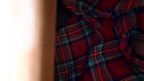 dVe1oPe online show from 11.08.25