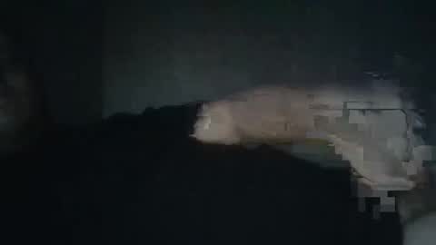 Snapshot of dxjbre chatting on 01.08.26 dxjbre online show from 01.08.26